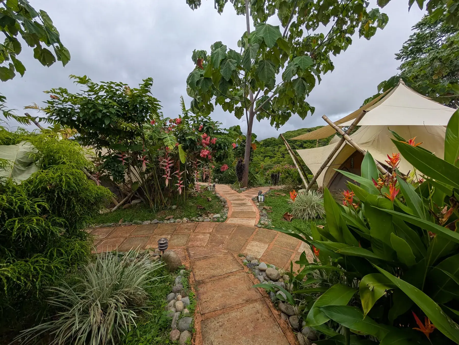 Glamping tents at an ayahuasca retreat in Costa Rica