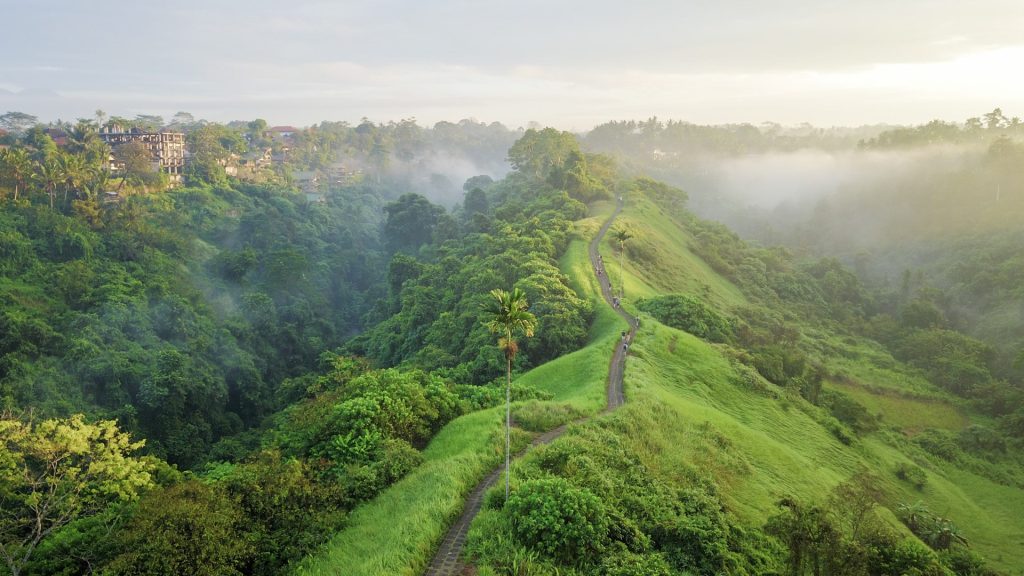 Drone photo of Campuhan Ridge Walk in Ubud, Bali