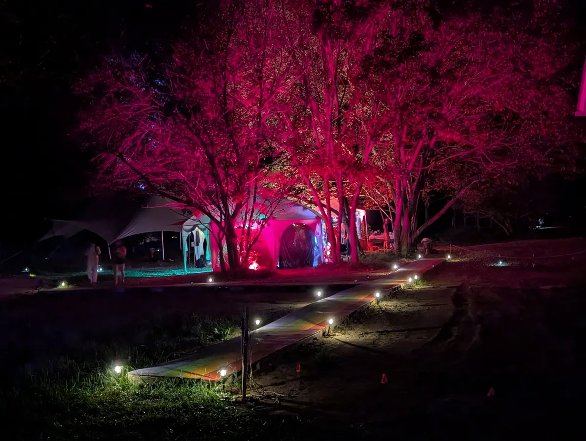 Lights along a path at night, with the trees lit pink and a tent glowing in the dark