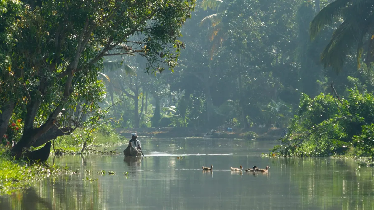 Boats drifting through morning mist and warm light