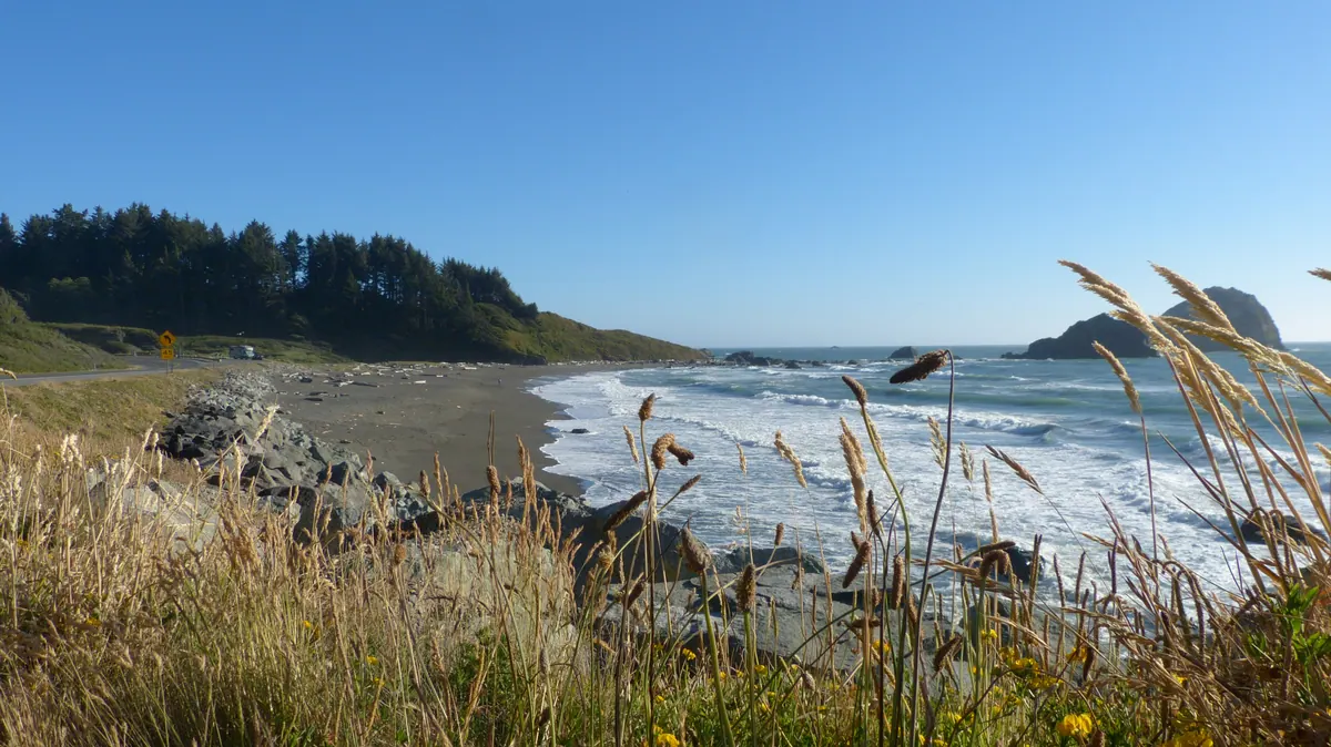 Tall grasses leaning toward a quiet, sunlit cove on the California coast