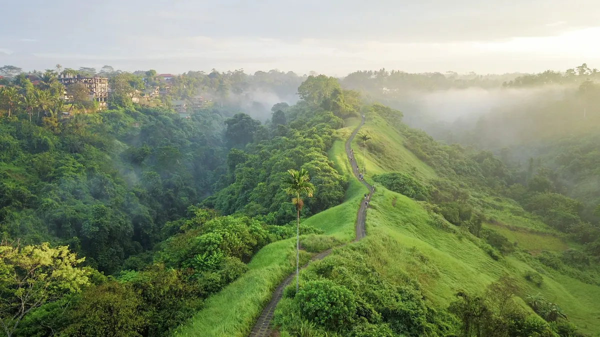 The green spine of the Campuhan Ridge, Ubud, Bali