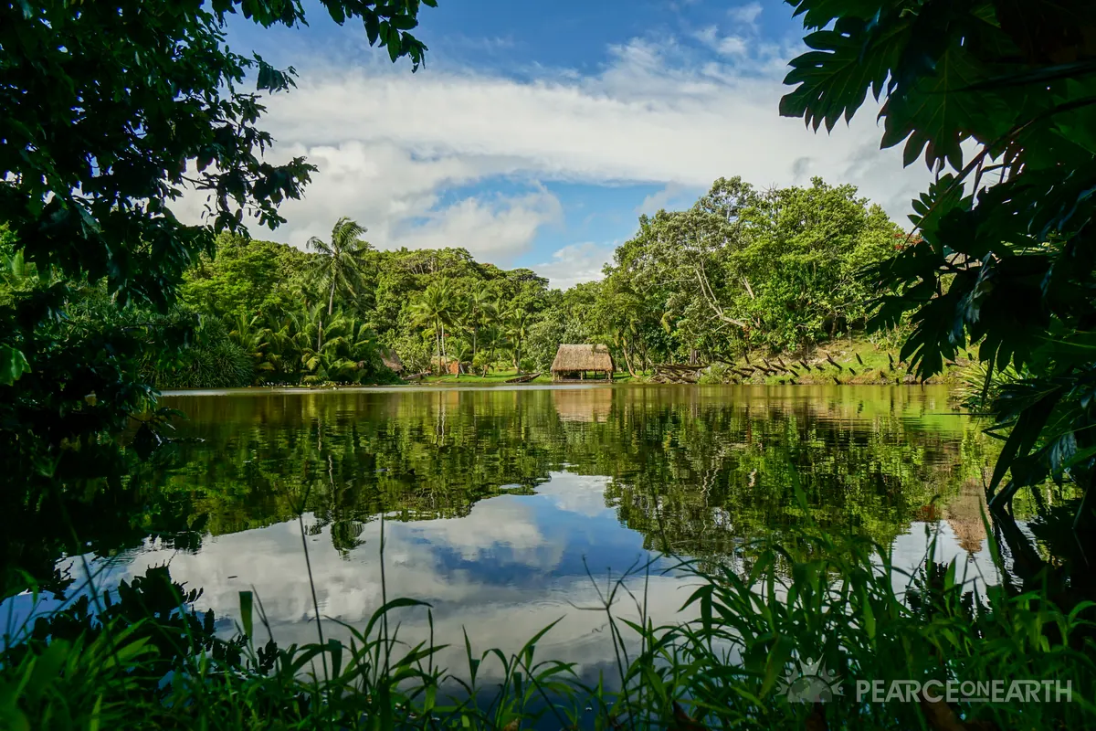 Dense tropical forest mirrored in a still lagoon in Fiji