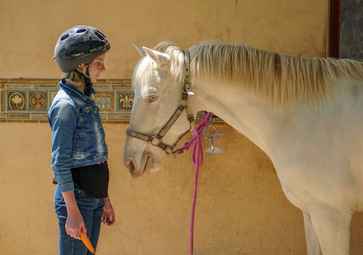 A girl and a white horse face to face at a riding stable, San Miguel de Allende, Mexico