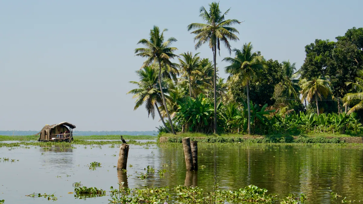 A thatched houseboat drifting past palms on the still Kerala backwaters