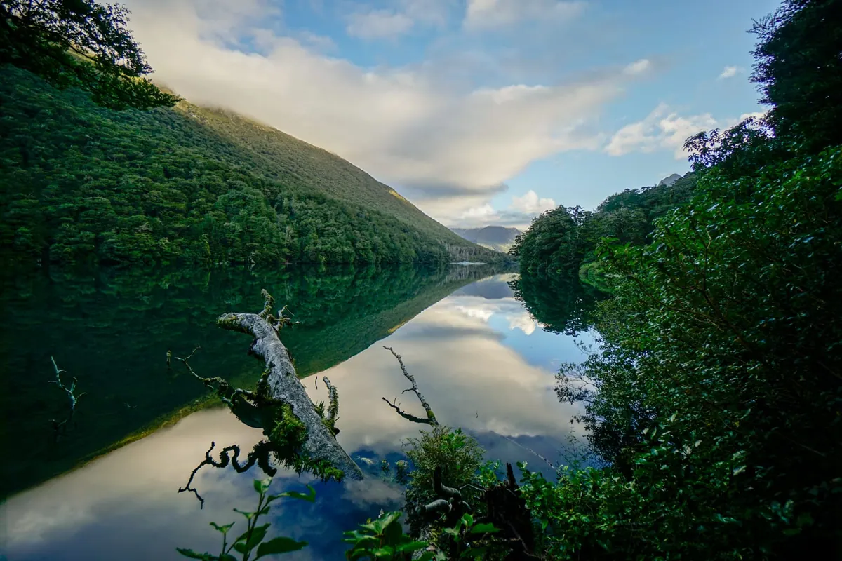 A still alpine lake reflecting forested peaks, Fiordland, New Zealand