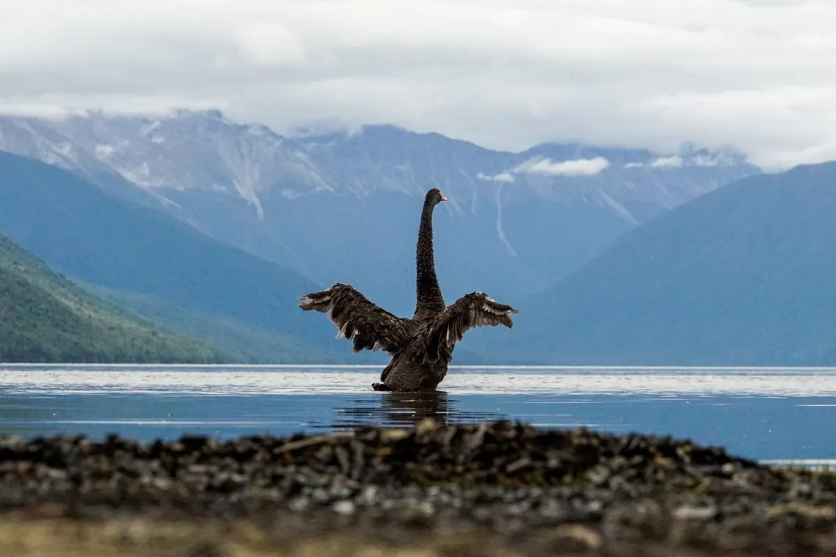 A lakeside sculpture against the mountains of New Zealand's South Island