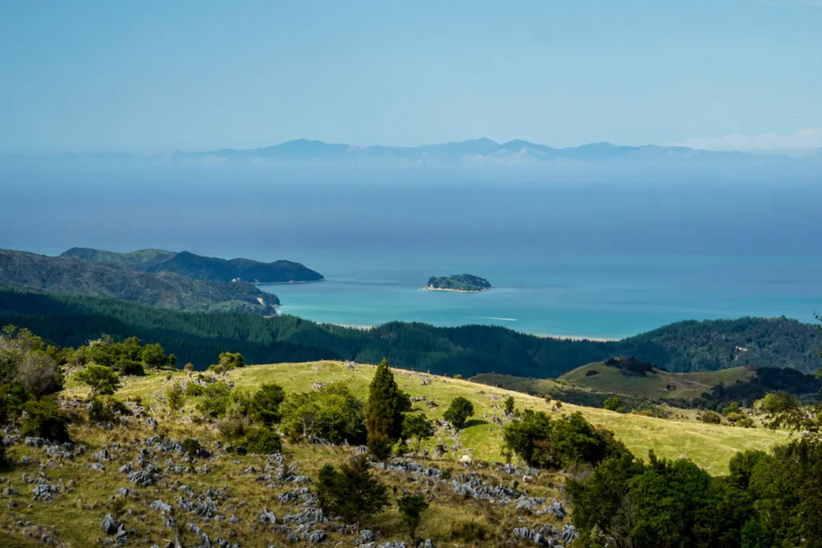 Rolling coastal hills above the sea near Tākaka, New Zealand