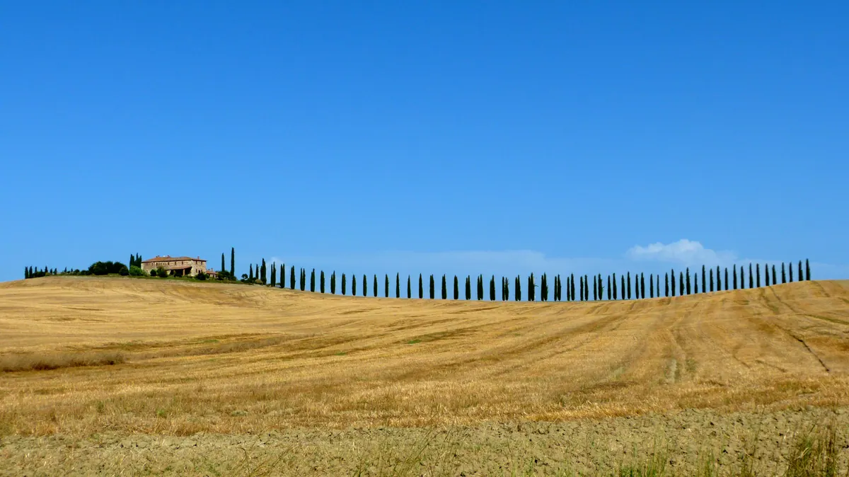 A long row of cypress trees tracing the crest of a harvested Tuscan hill