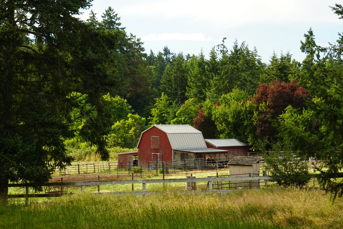 A red barn tucked into a green farm at the edge of the forest