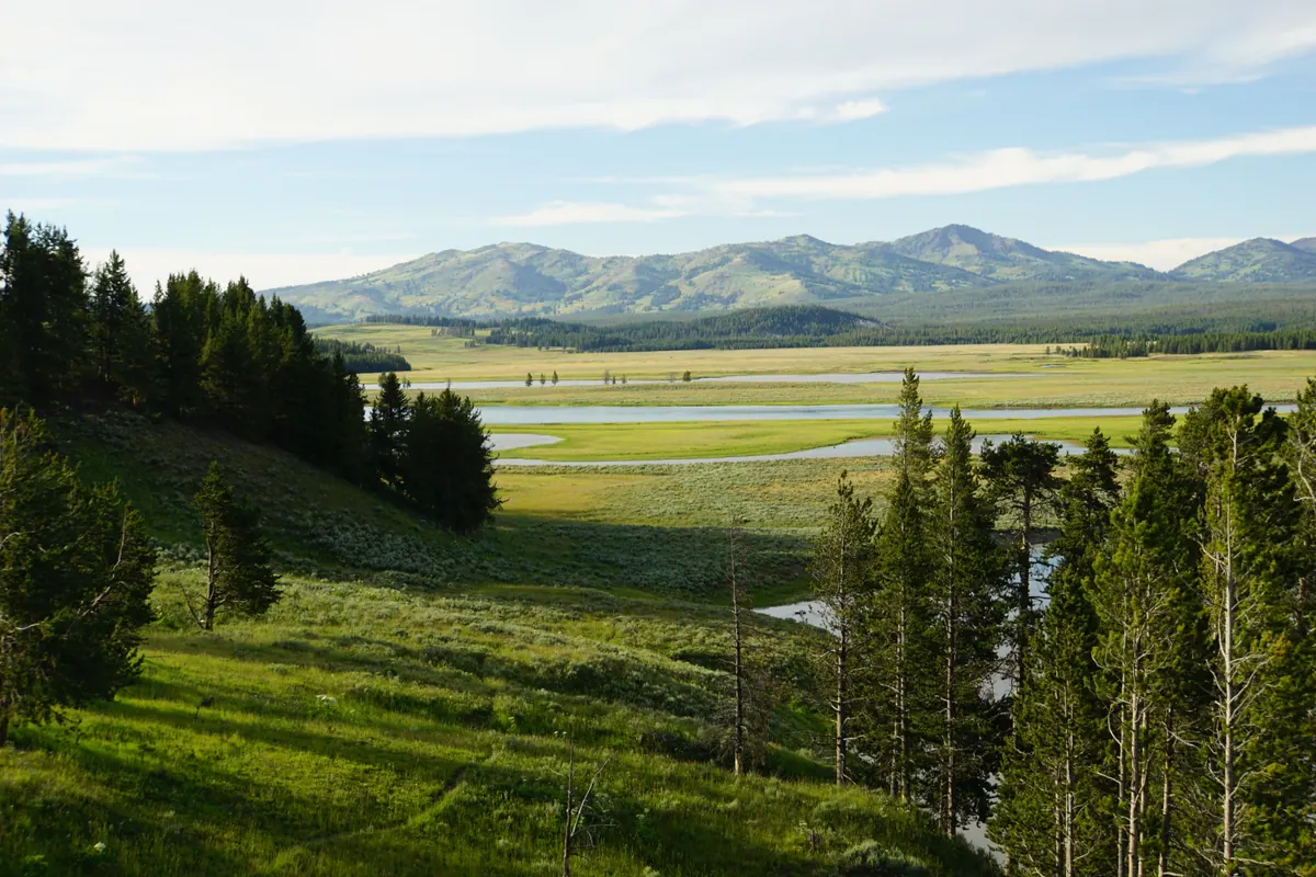 Sunlit grasslands and a winding river beneath distant Yellowstone hills